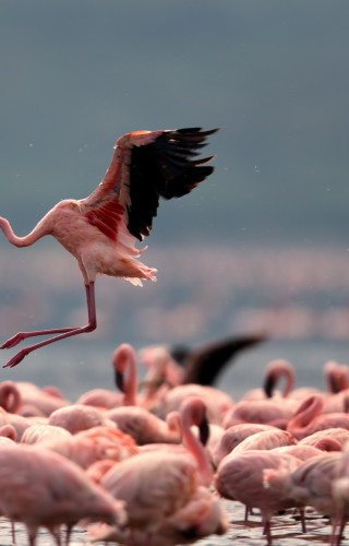 Best Time to Visit Kenya