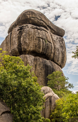 Best Time to Visit Kenya