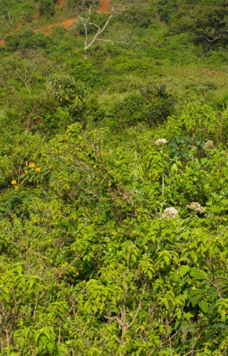 Best Time to Visit Kenya