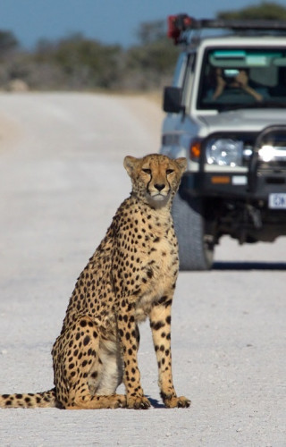 Namibia