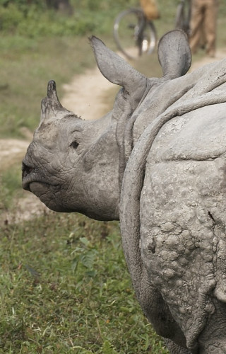 Ostindien