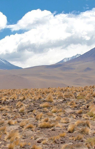 Chile