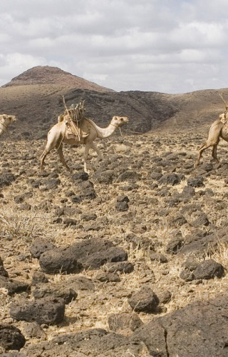 Best Time to Visit Kenya