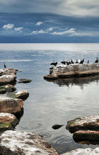 Best Time to Visit Kenya