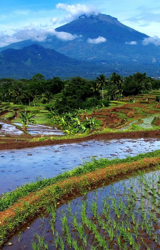 Indonesien
