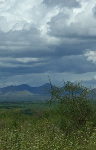 Best Time to Visit Kenya