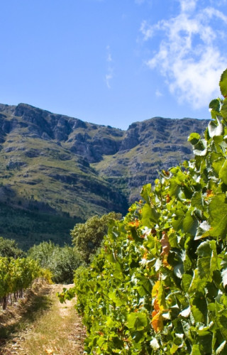 Südafrika