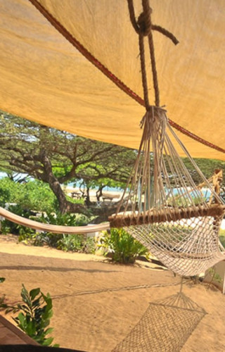 Best Time to Visit Kenya