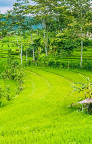 Indonesien