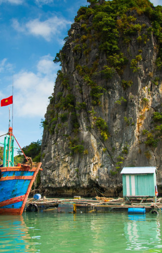 Vietnam