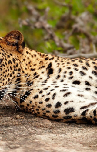 Sri Lanka
