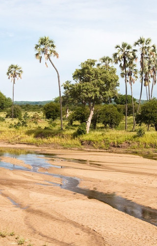 Tansania