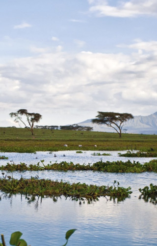 Best Time to Visit Kenya