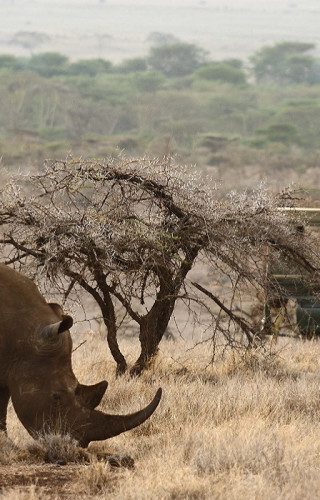 Best Time to Visit Kenya