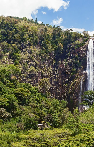 Sri Lanka