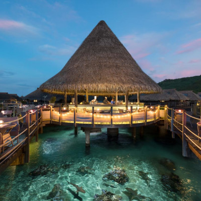 Hilton Moorea Lagoon Resort and Spa - Enchanting Travels