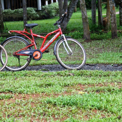 Punnamada Backwater Resort Enchanting Travels