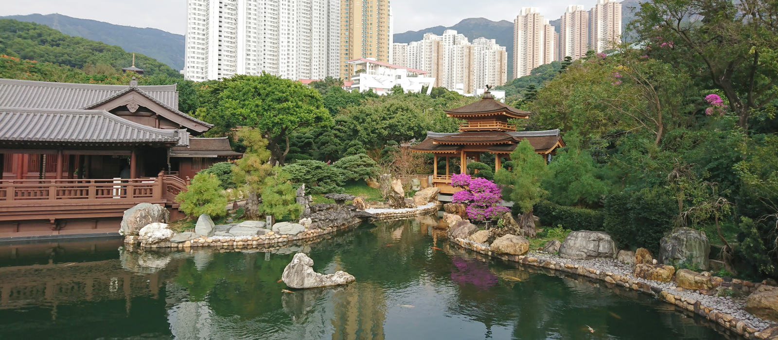 An expert travel guide to Hong Kong