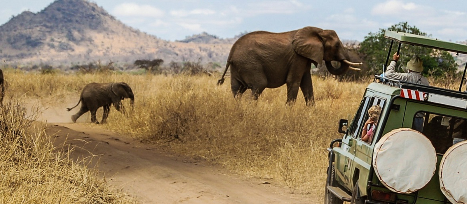 Best Time to Visit - Africa Safari Destinations Travel Guide