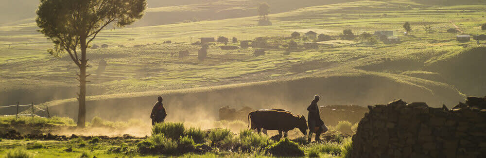 Farmers,Preparing,Their,Fields,In,The,Old,Way,,Lesotho,,Africa. Top Off the Beaten Path Destinations