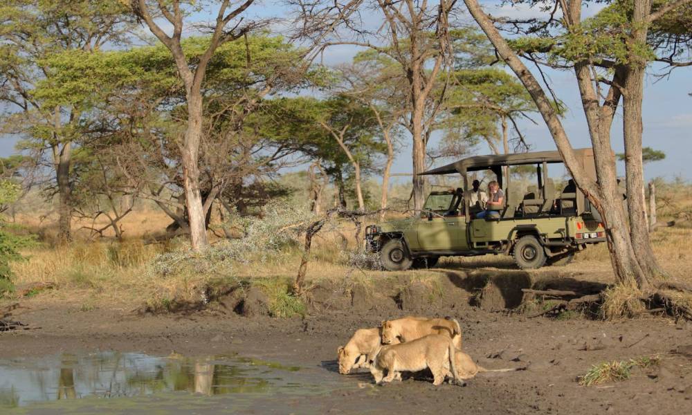 Kenia oder Tansania Safari Reiseziele Enchanting Travels