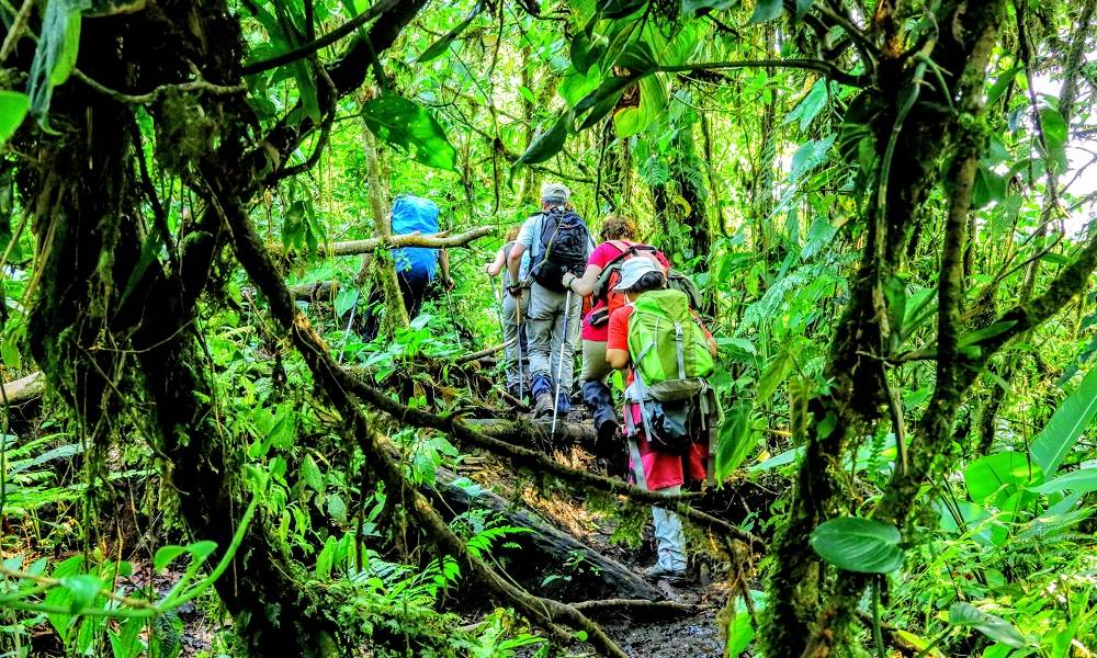 Hiking in Arenal National Park