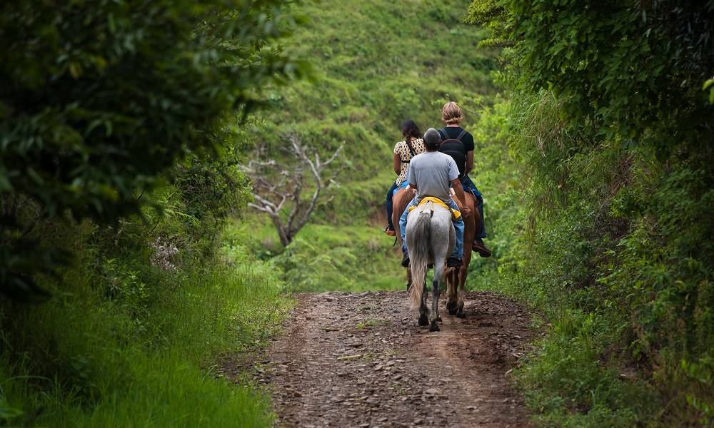 Horse riding in Monteverde Cloud Forests