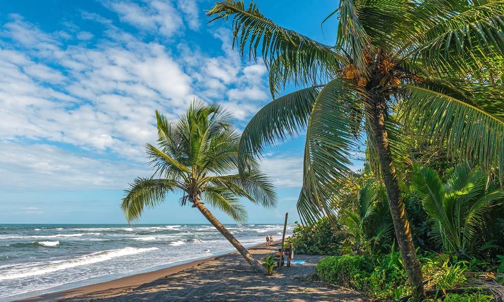 Wild beach at Tortuguero