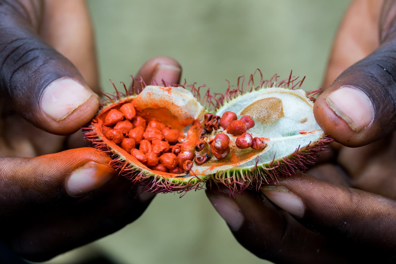 Spices from Zanzibar