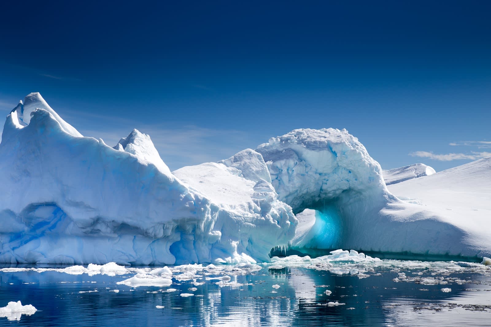 Discover the Best Things To Do in Antarctica From Experts