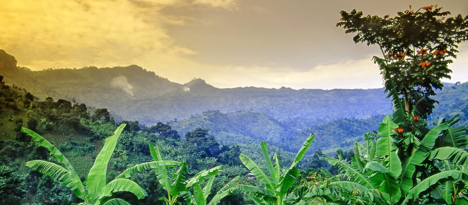 Uganda Sehenswürdigkeiten - Mount Elgon