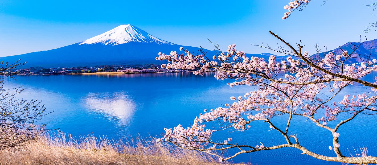 Enchanting Travels Japan Tours Landscape from Lake Kawaguchiko Nagasaki Park Top 5 Reiseziele für Familien mit Kindern, die jedes Familienmitglied glücklich machen