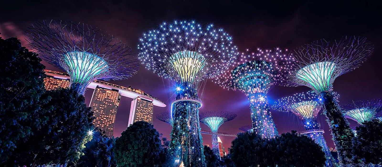 Singapore Gardens Festival 2022