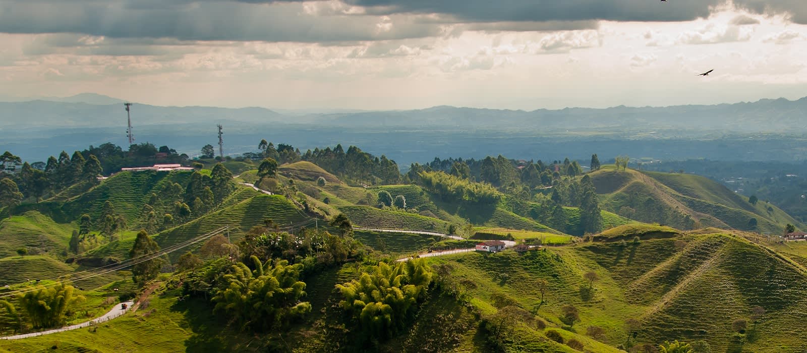 Coffee Region, Colombia - Enchanting Travels Top 10 UNESCO World Heritage sites of 2019