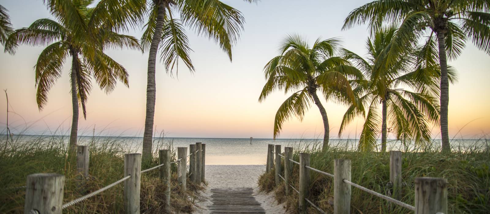 Fascinating Tour Tactics That Can Help Your Business Grow Can You Really Find Tour on the Web?