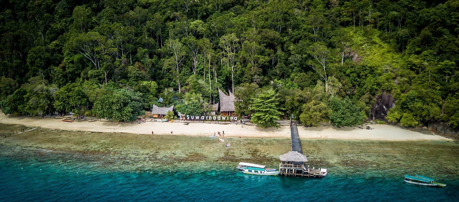Rainforest in Sumatra, Indonesia - Enchanting Travels Top 10 UNESCO World Heritage sites of 2019