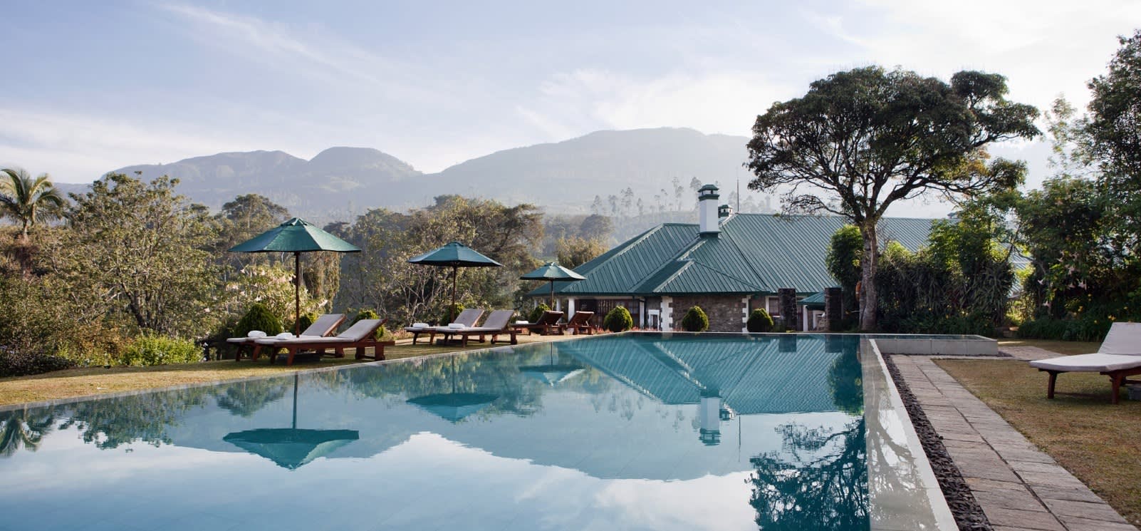 Tea Trails in Sri Lanka