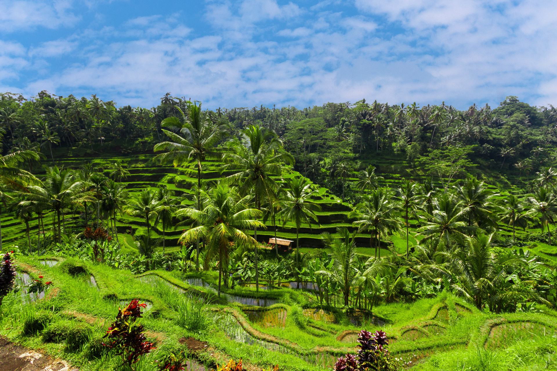 As 5 principais cidades sustentáveis ​​do mundo