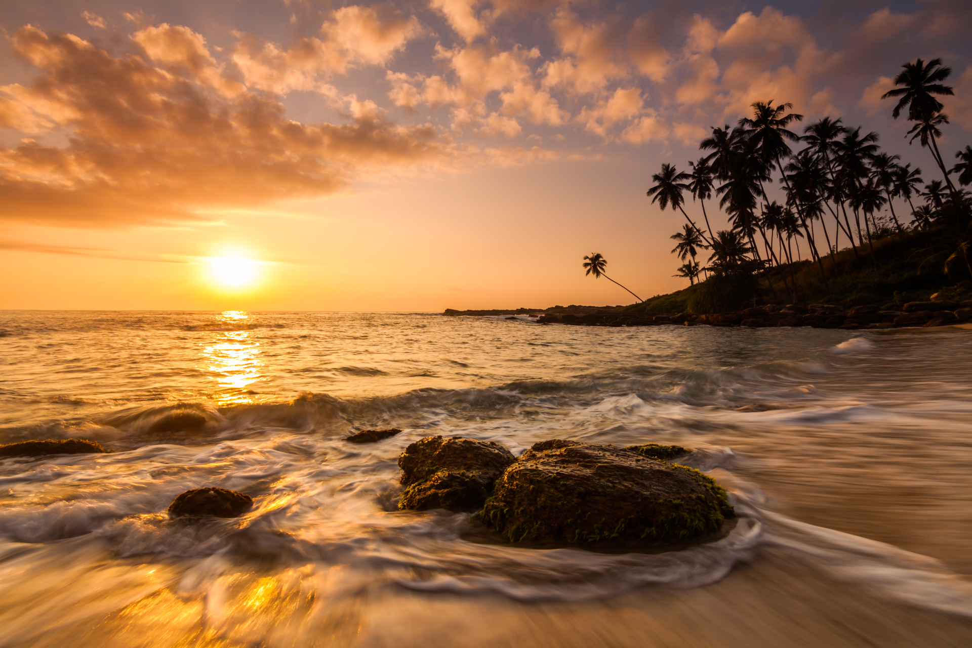 Shutterstock de la playa de Sri Lanka_774041674 Australia: tour de descubrimiento de la costa de Coral
