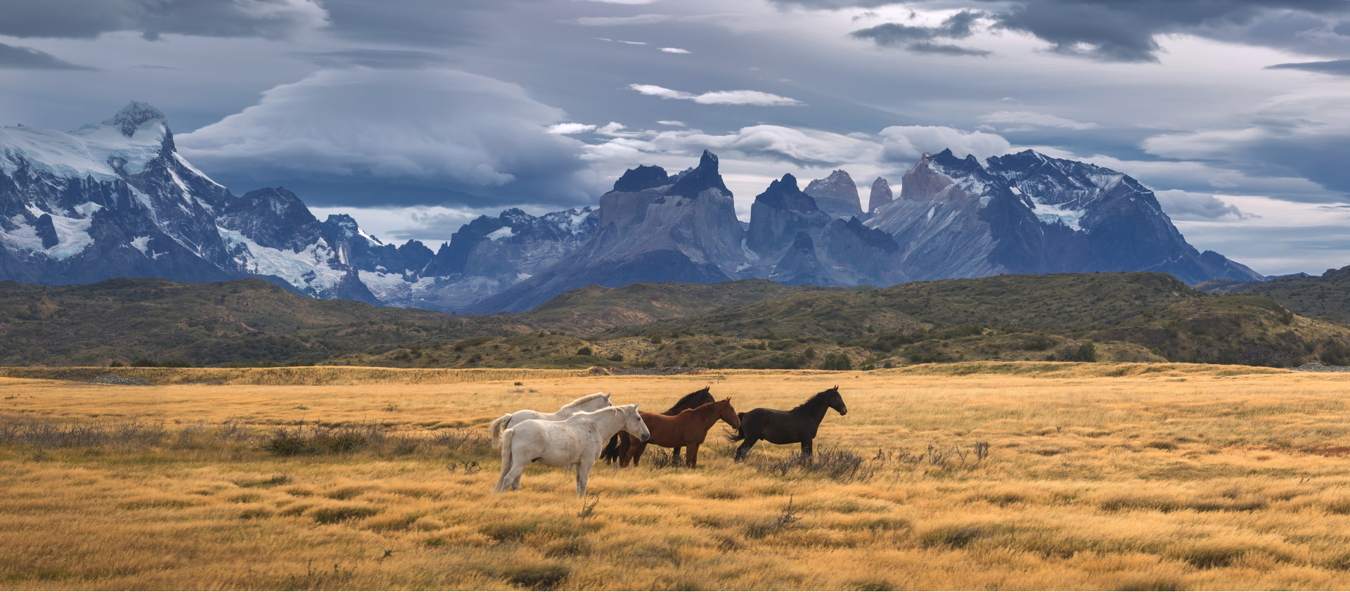 Boletín Argentina & Chile - Parque Nacional Torres del Paine, Patagonia, Chile La Poesía Salvaje De La Patagonia