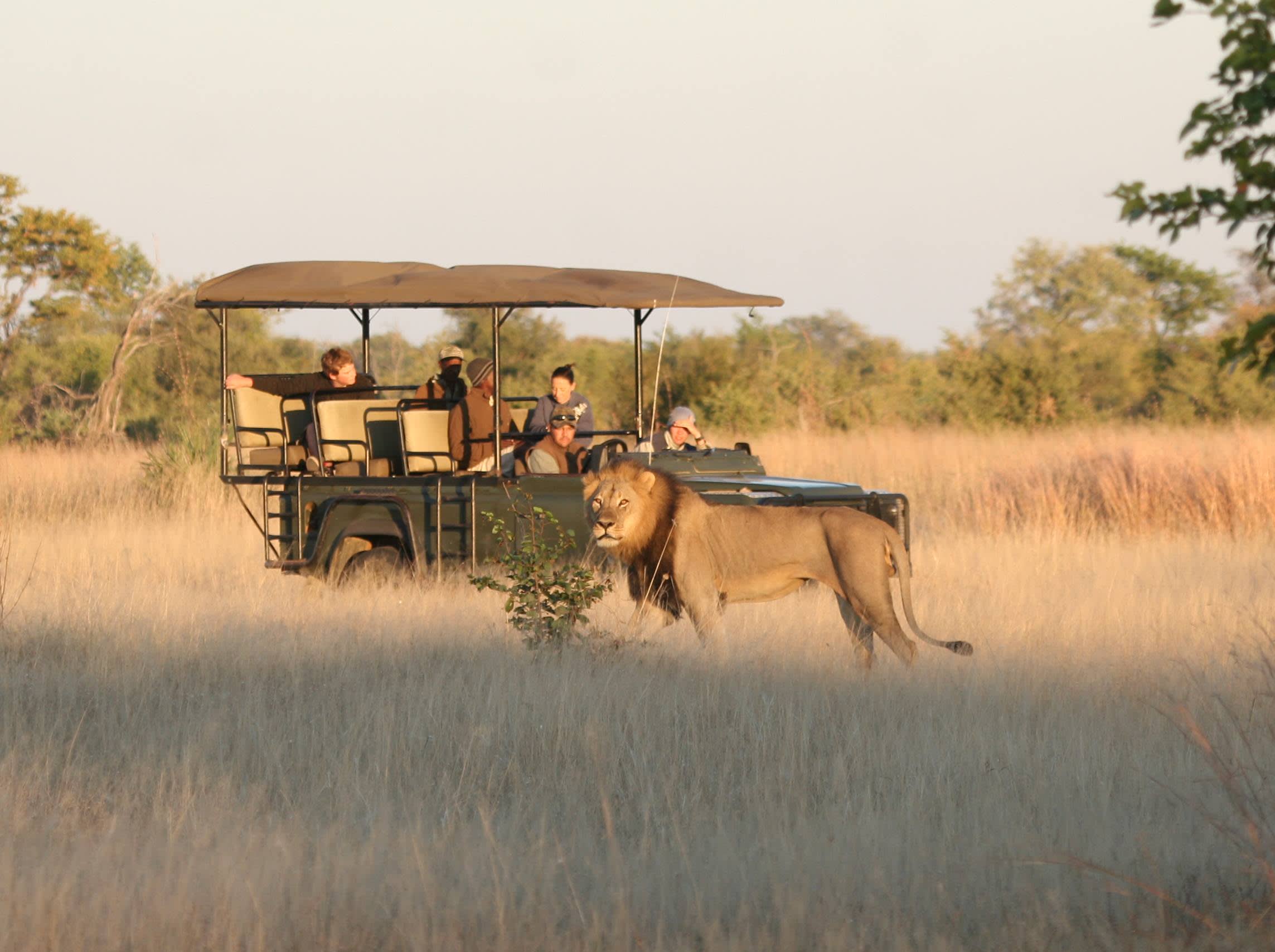 The Best Ever Luxury Safari Tours in Zimbabwe