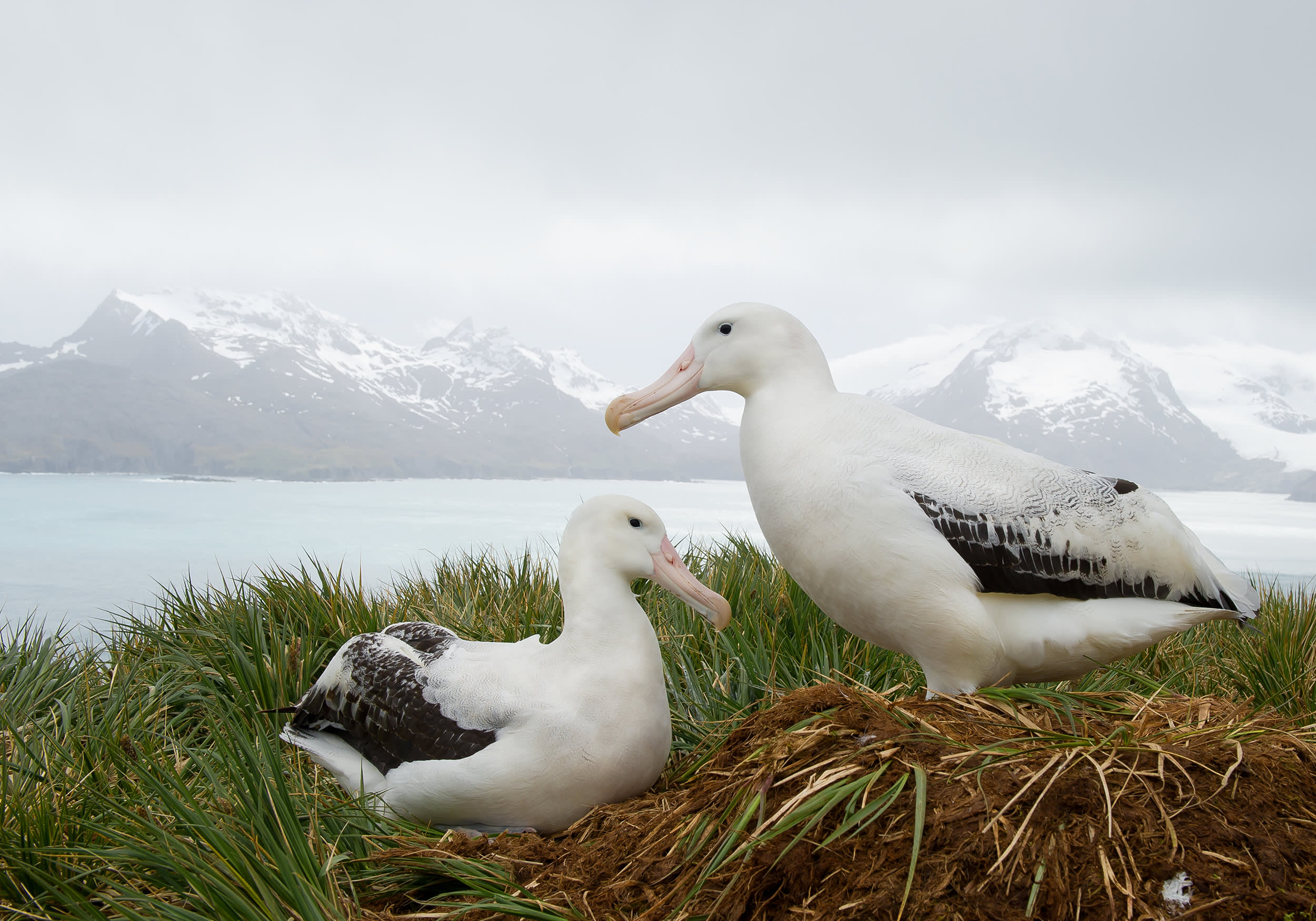 Antarctica Vacation: Into the Deep