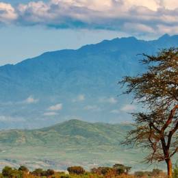 Uganda Safaris in Queen Elizabeth, umgeben von unberührter Natur