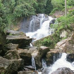 Wasserfälle im Sinharaja Regenwald