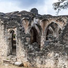 things to do in tanzania