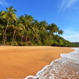 Goa