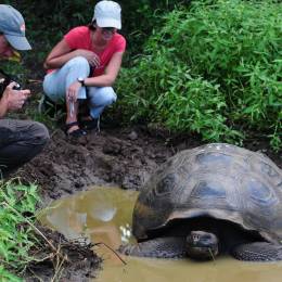 Best time to visit South America - Galapagos