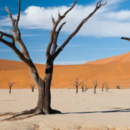 Paysage désertique à Sossusvlei, Namibie