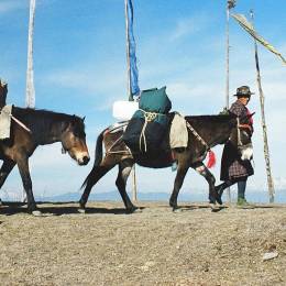 Enchanting Travels - Bhutan Tours - Paro Hotels - Uma Como Paro - Druk_Path_Trek_1 - Bhutan travel guide