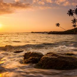 Best time to visit Asia - Sri Lanka